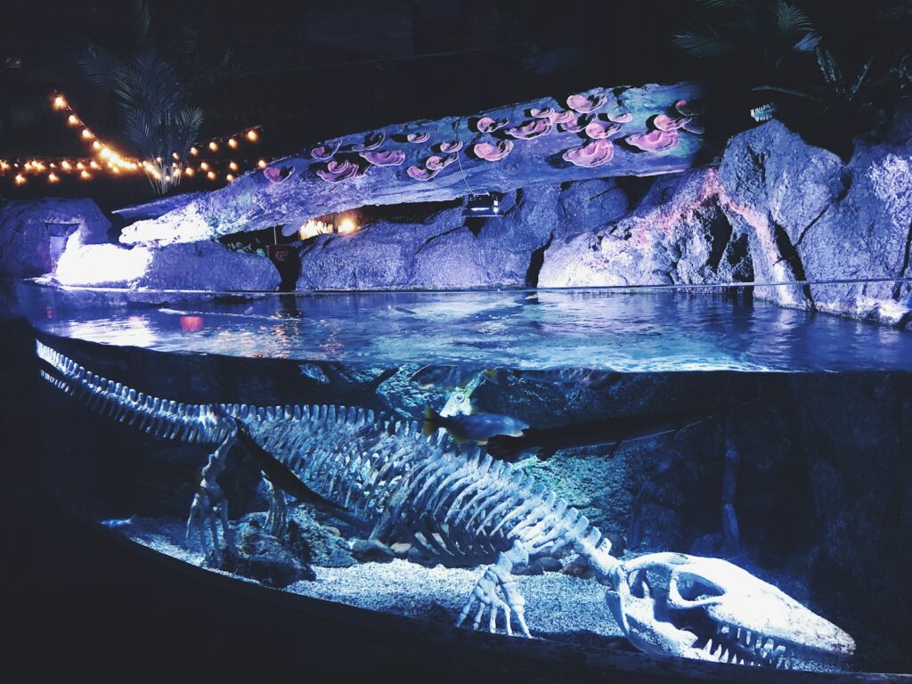 a stream with a waterfall and rocks