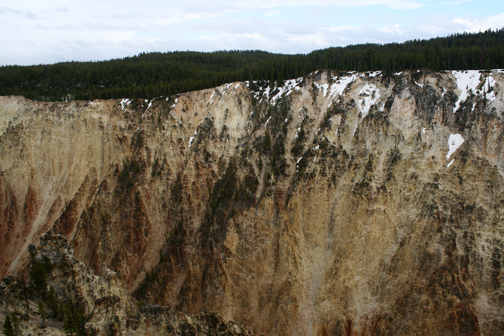 A rugged, sunlit cliff with exposed sediment layers, towering above a dry, scrubby landscape where ancient fossils once lay hidden.