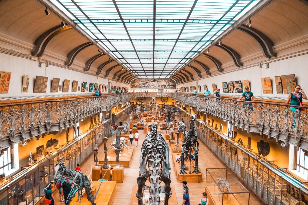A grand museum hall filled with towering mounted dinosaur skeletons under dramatic lighting, surrounded by exhibits and curious visitors.