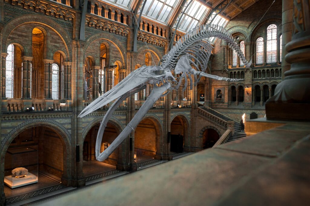 A massive dinosaur fossil suspended from the ceiling of a museum atrium