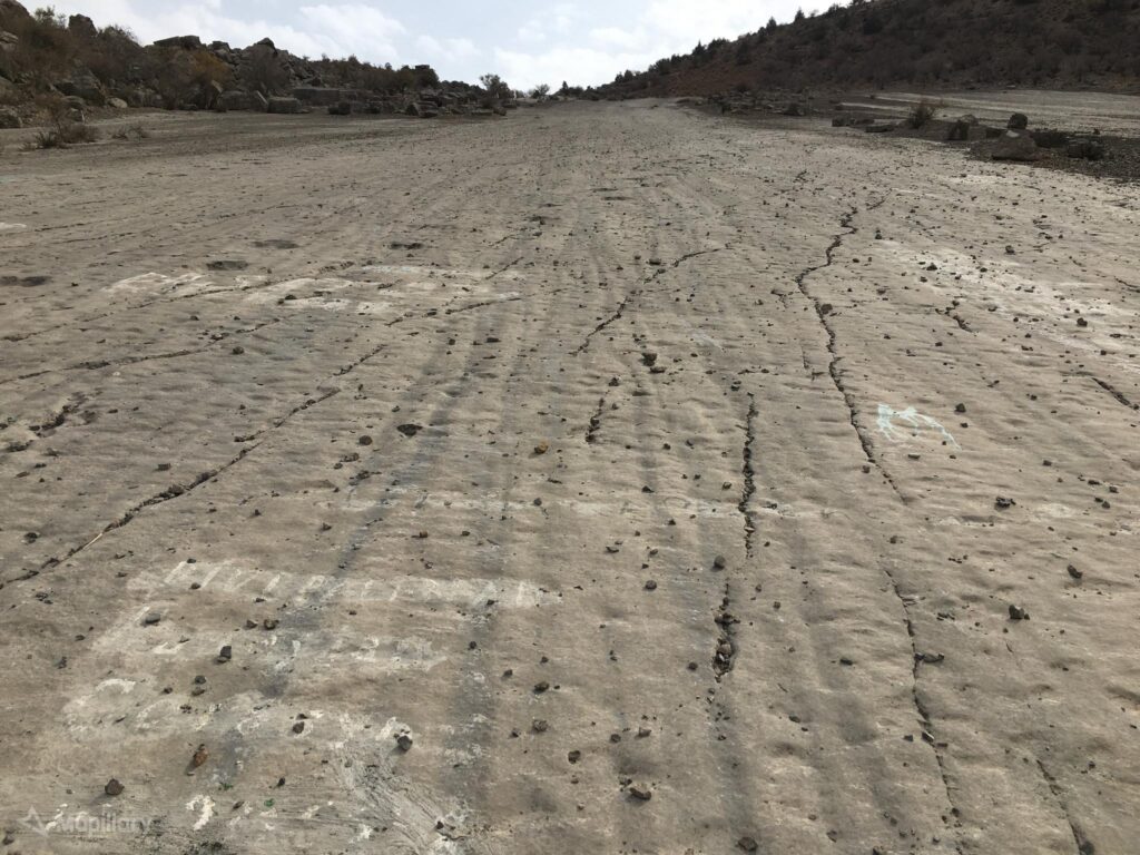 A series of fossilized dinosaur footprints preserved in stone