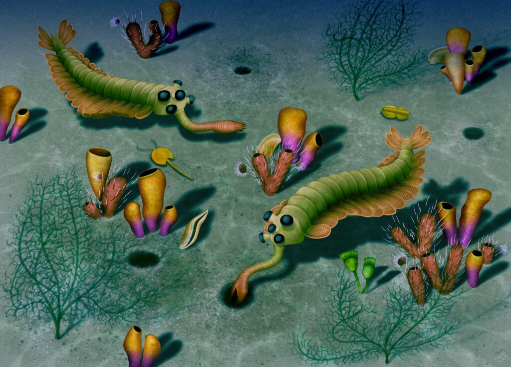 Multiple Opabinia swim gracefully near the Cambrian seafloor, their flapping side lobes propelling them through the water with fluid motion.