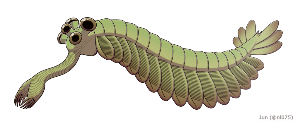 Opabinia uses its long, flexible proboscis to probe the seafloor for soft-bodied prey