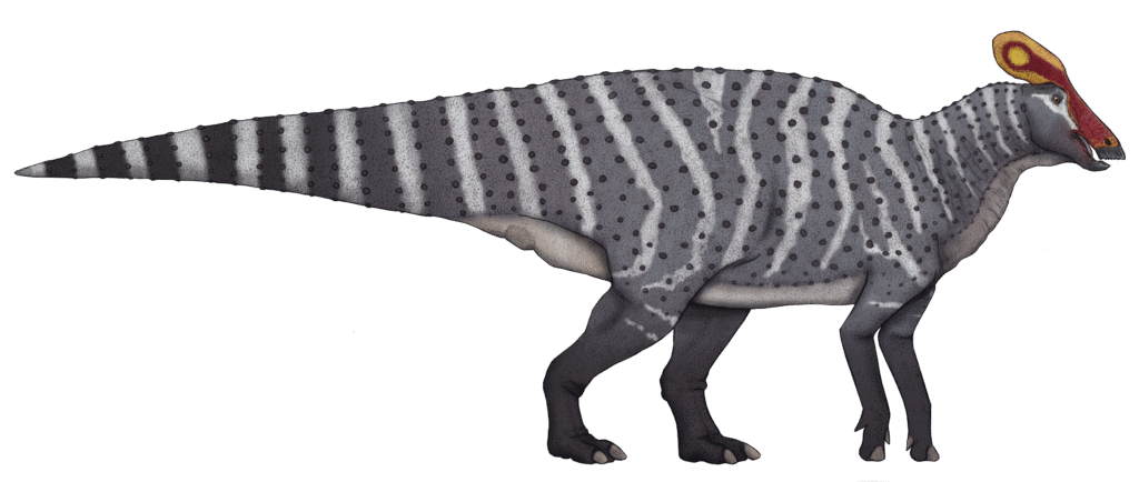 Artistic illustration of a hadrosaur