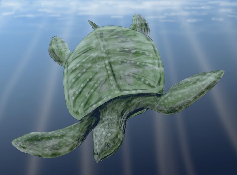 Archelon turtle with wide flippers gliding effortlessly through the prehistoric ocean, its ridged shell catching the light beneath the waves.