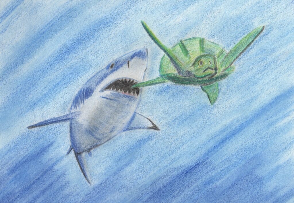 A large prehistoric shark pursues a turtle in ancient ocean waters, capturing a dramatic moment of predator-prey interaction near the seafloor.
