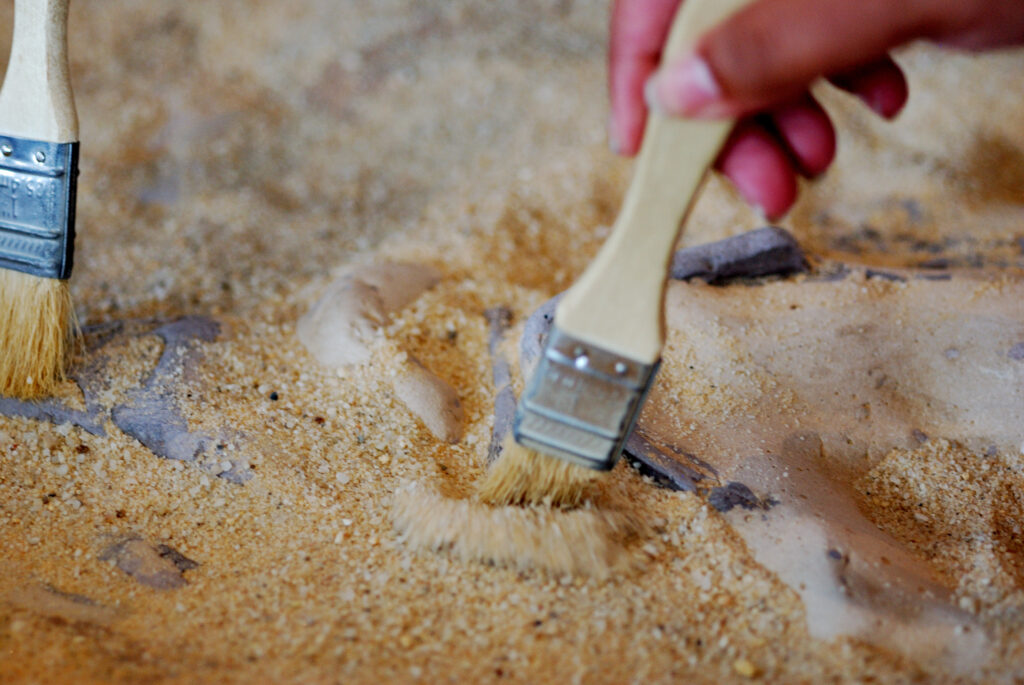 A small brush gently sweeps away sand to reveal part of a dinosaur fossil embedded in the ground.