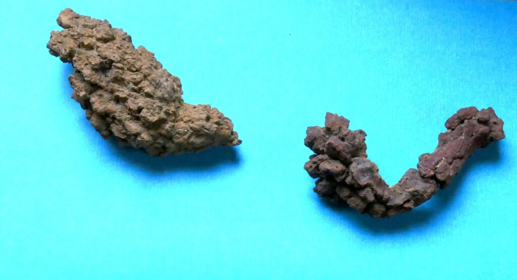 Close-up of a dinosaur coprolite fossil, showcasing mineralized layers and rough texture from millions of years of preservation.