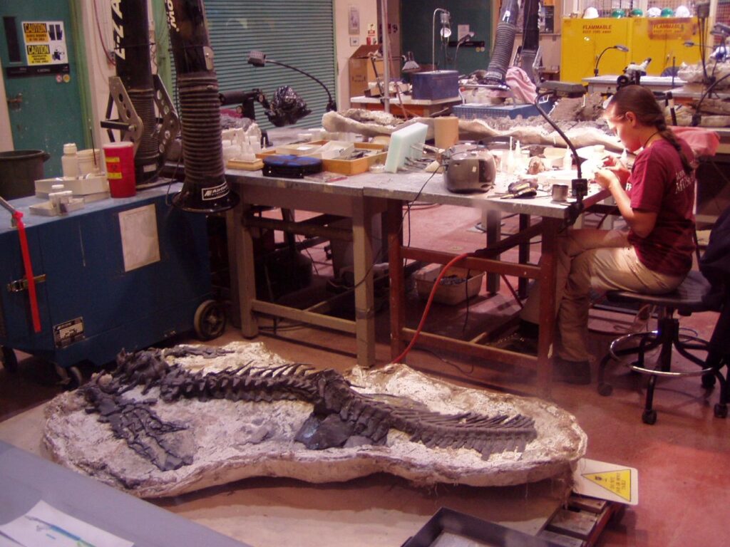Paleontology lab staff working around a large dinosaur skeleton fragment, surrounded by tools, lights, and fossil preparation equipment.