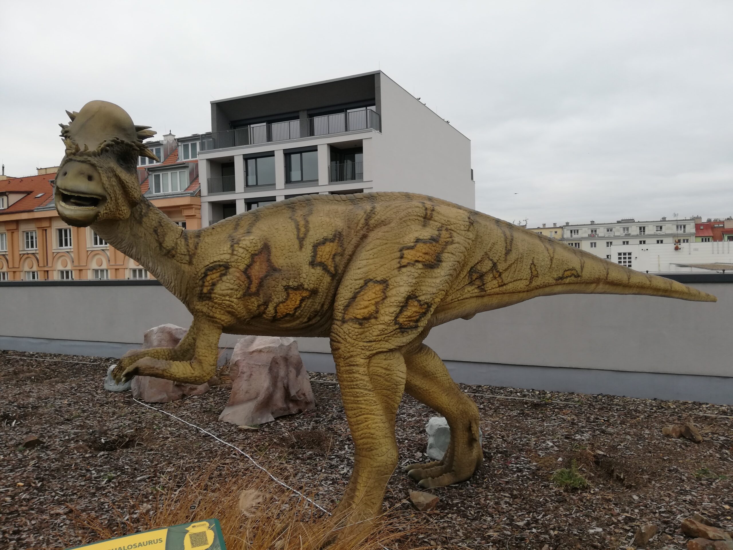 Emotional Connection to Ancient Life (image credits: wikimedia)