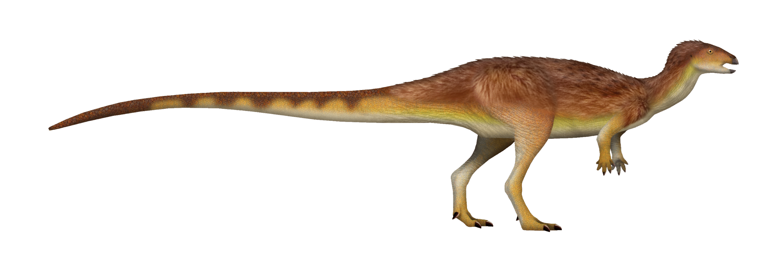 Meet Oryctodromeus: The Pioneer Digger (image credits: wikimedia)