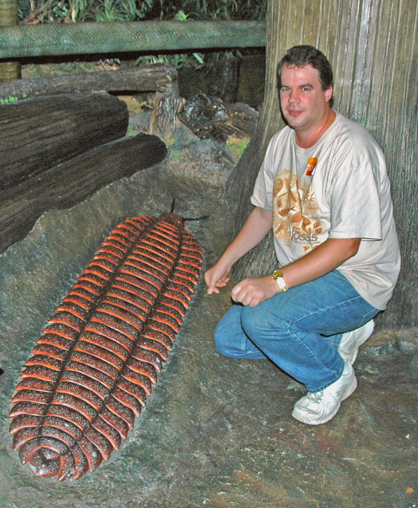 Arthropleura: The Giant Millipede That Wasn't (image credits: flickr)