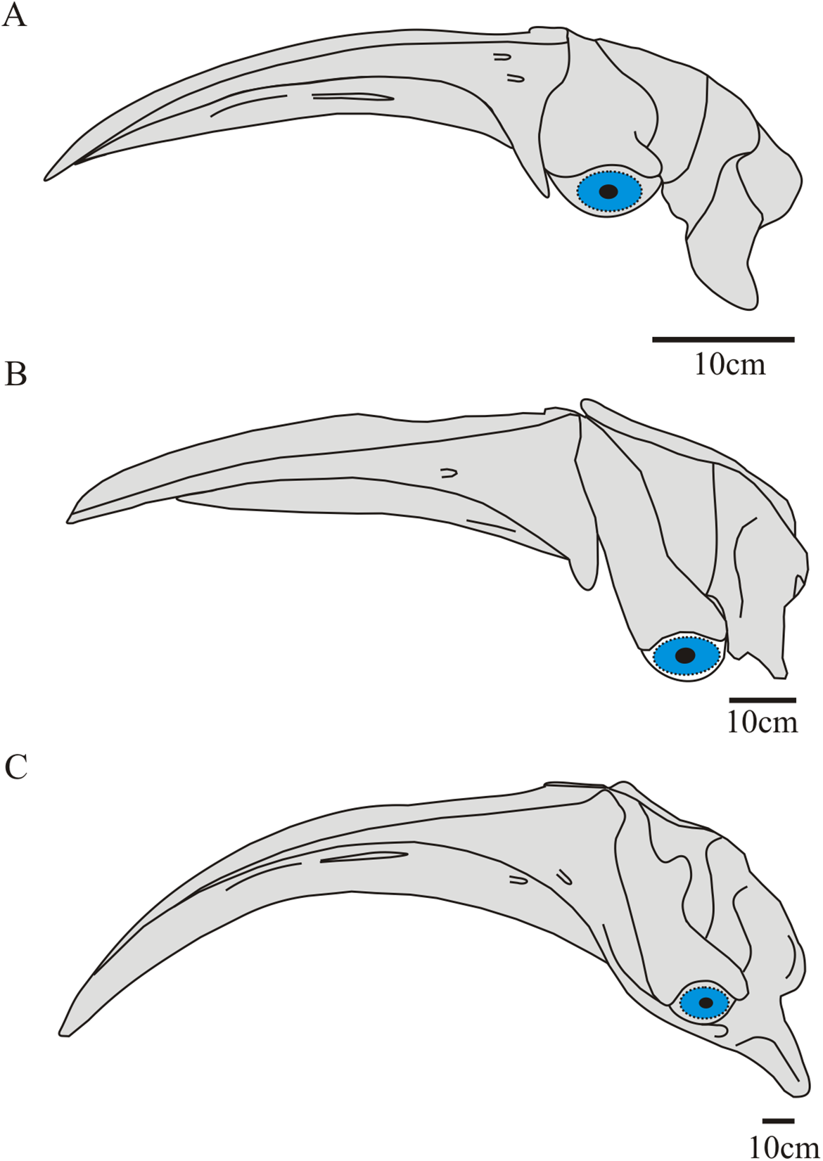 Evolutionary Arms Race with the Environment (image credits: wikimedia)