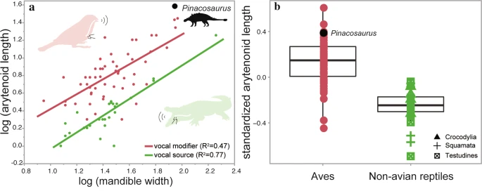 The Mystery of Prehistoric Sounds (image credits: wikimedia)