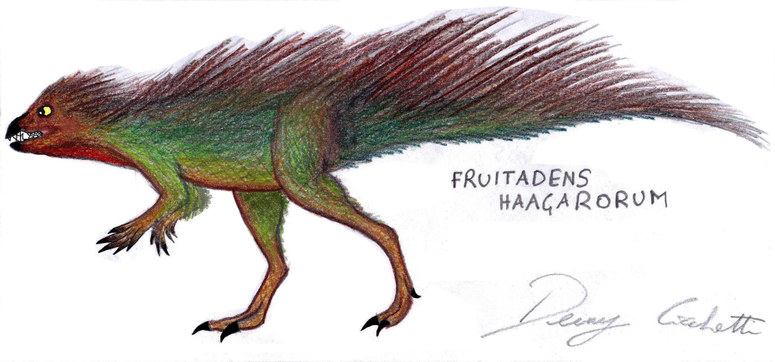 Fruitadens: The Tiny Vegetarian (image credits: By Danny Cicchetti, CC BY-SA 3.0, https://commons.wikimedia.org/w/index.php?curid=28297059)