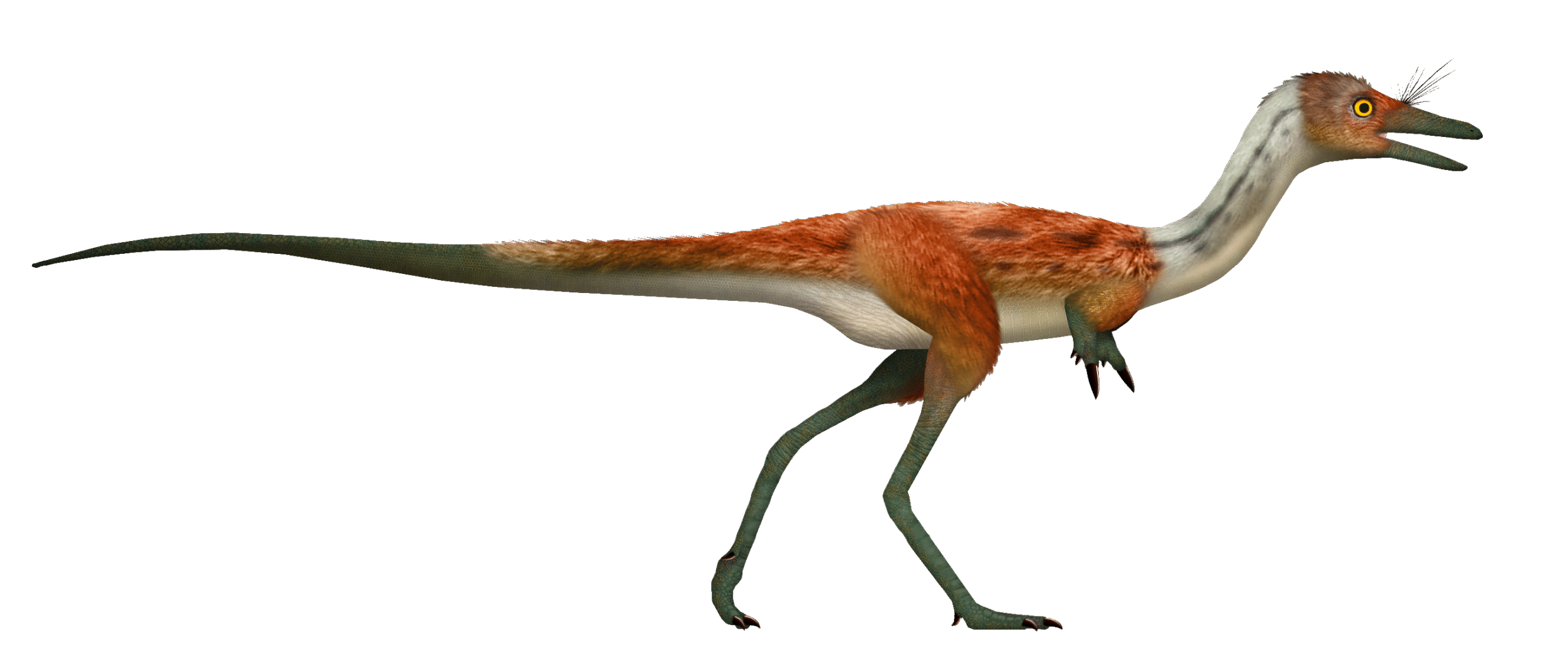 Shuvuuia: The Desert Survivor (image credits: By UnexpectedDinoLesson, CC BY-SA 4.0, https://commons.wikimedia.org/w/index.php?curid=137124381)