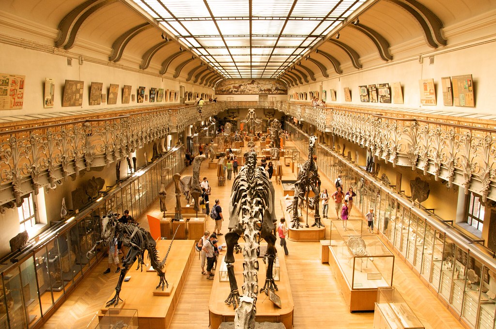 The Birth of Paleontology: A Science Invented by Dinosaur Bones