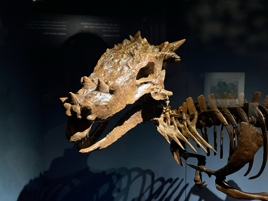 The Discovery That Changed Everything (image credits: flickr)