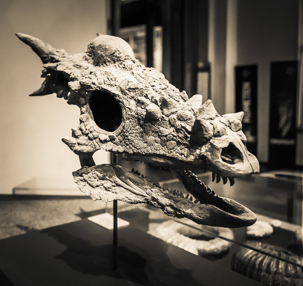 The Stygimoloch Mystery Deepens (image credits: flickr)
