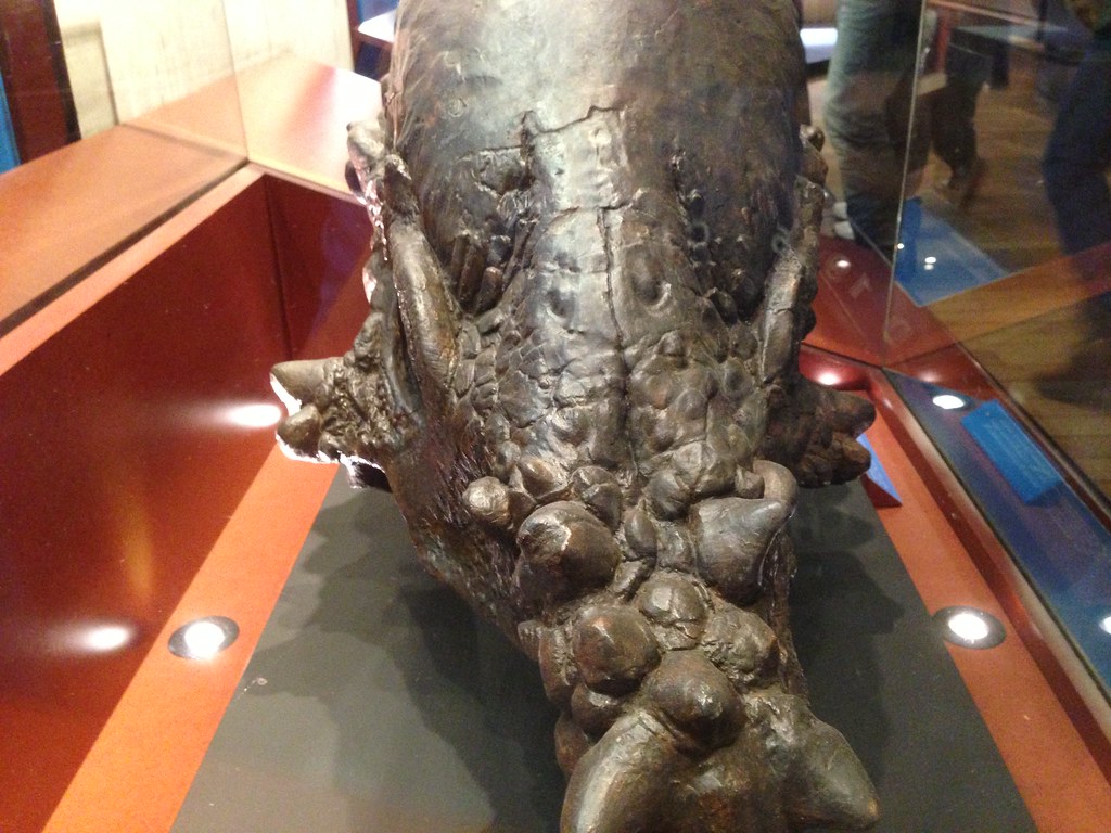 Current Scientific Consensus (image credits: flickr)