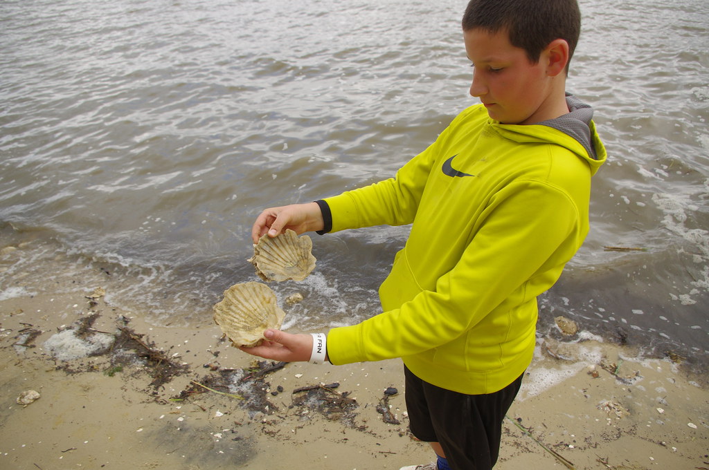 Educational Programs That Inspire Future Paleontologists (image credits: flickr)