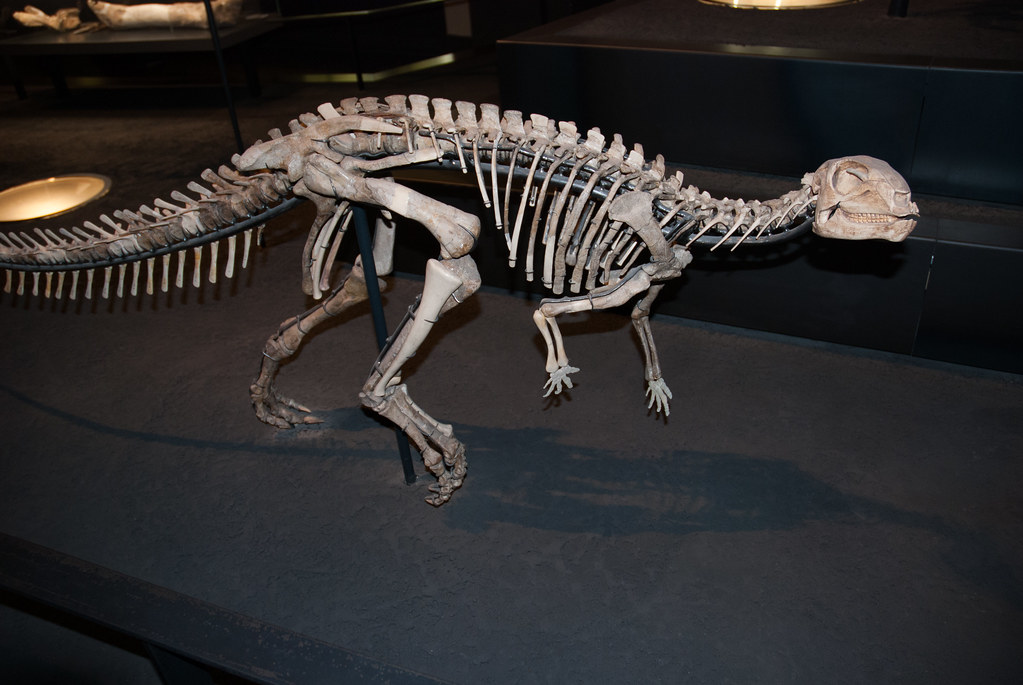 The Discovery That Changed Everything (image credits: flickr)