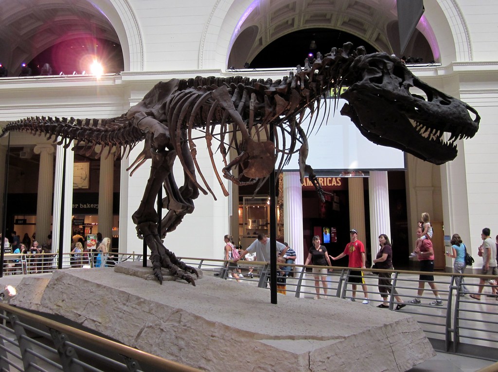 That Time a Dinosaur Was Fossilized Mid-Sprint