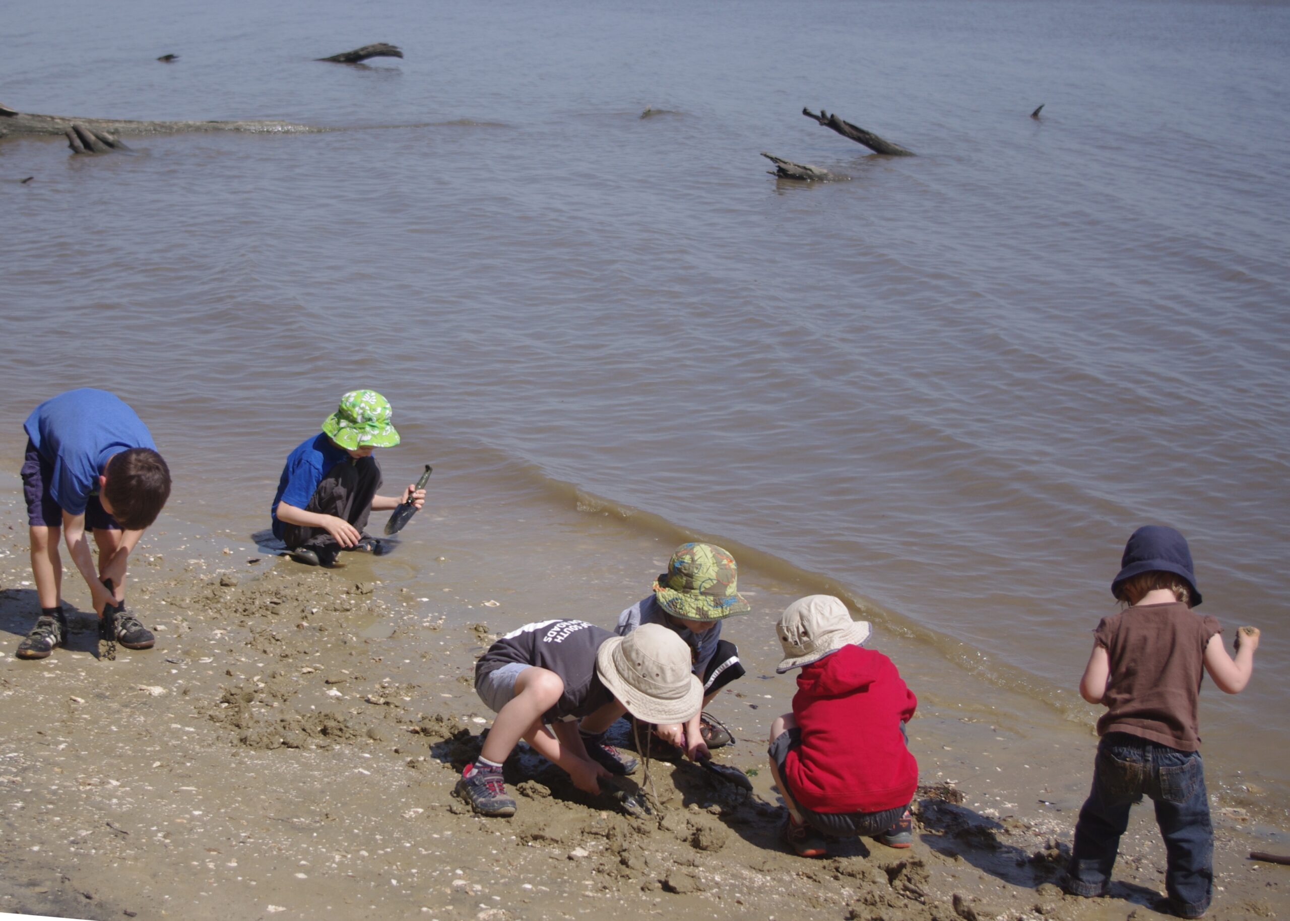 Educational Programs: Inspiring Future Paleontologists (image credits: Hampton Roads Fossil Hunters, CC BY 2.0, https://commons.wikimedia.org/w/index.php?curid=49155123)
