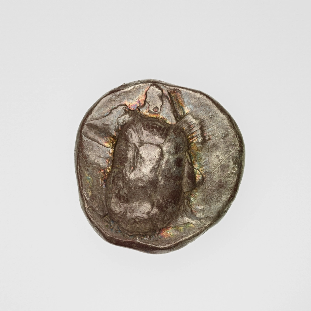 The Future of Fossil Community Research (image credits: rawpixel)