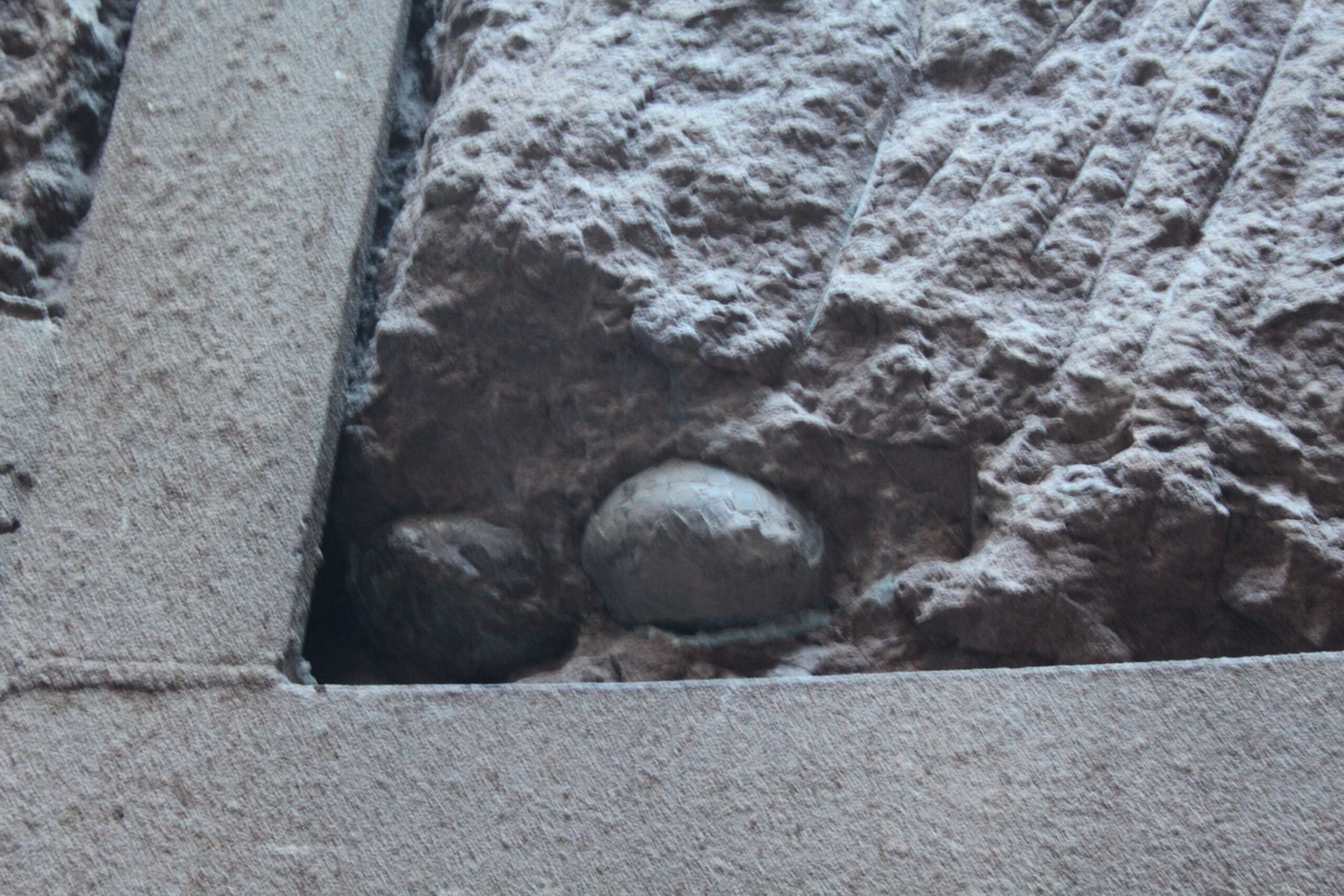 The Egg Connection Dilemma (image credits: wikimedia)