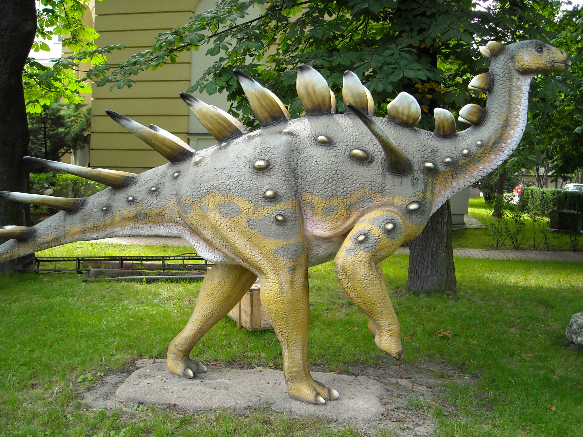 The African Giant That Rewrote Stegosaur Rules (image credits: wikimedia)