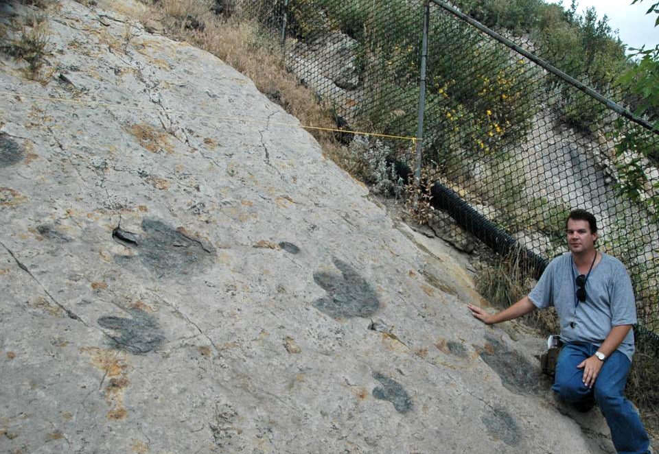 Trackway Detective Work (image credits: wikimedia)