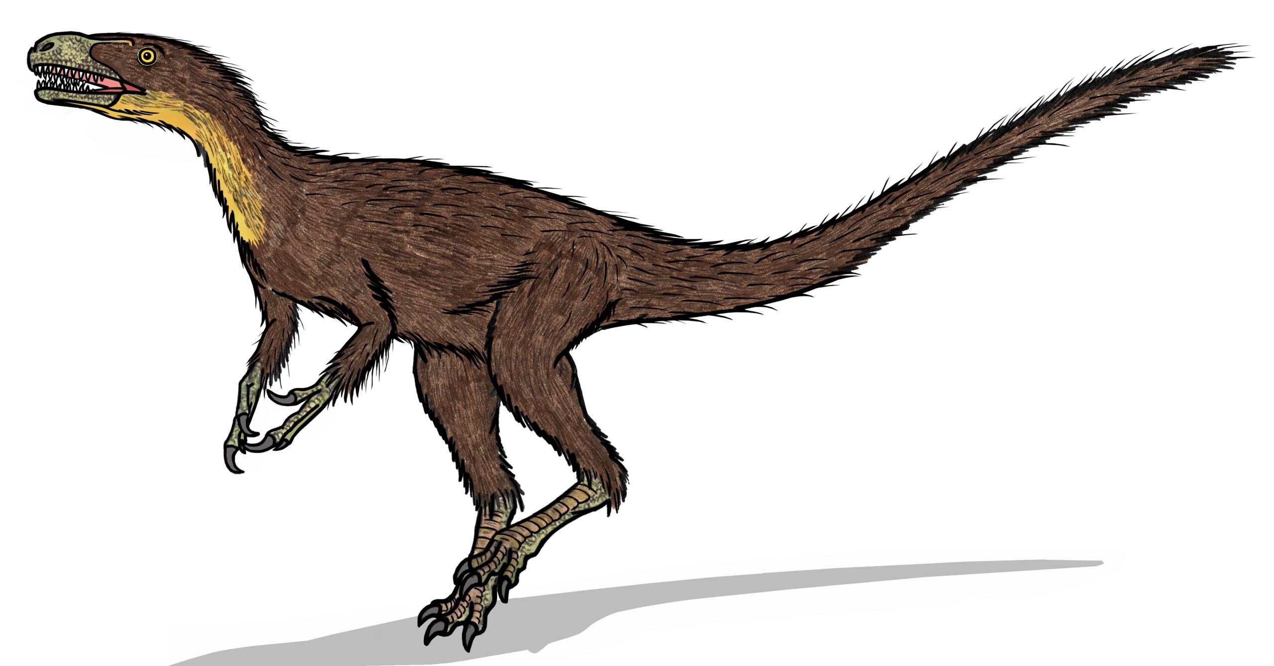 Sinosauropteryx: The First Fluffy Dinosaur Discovery