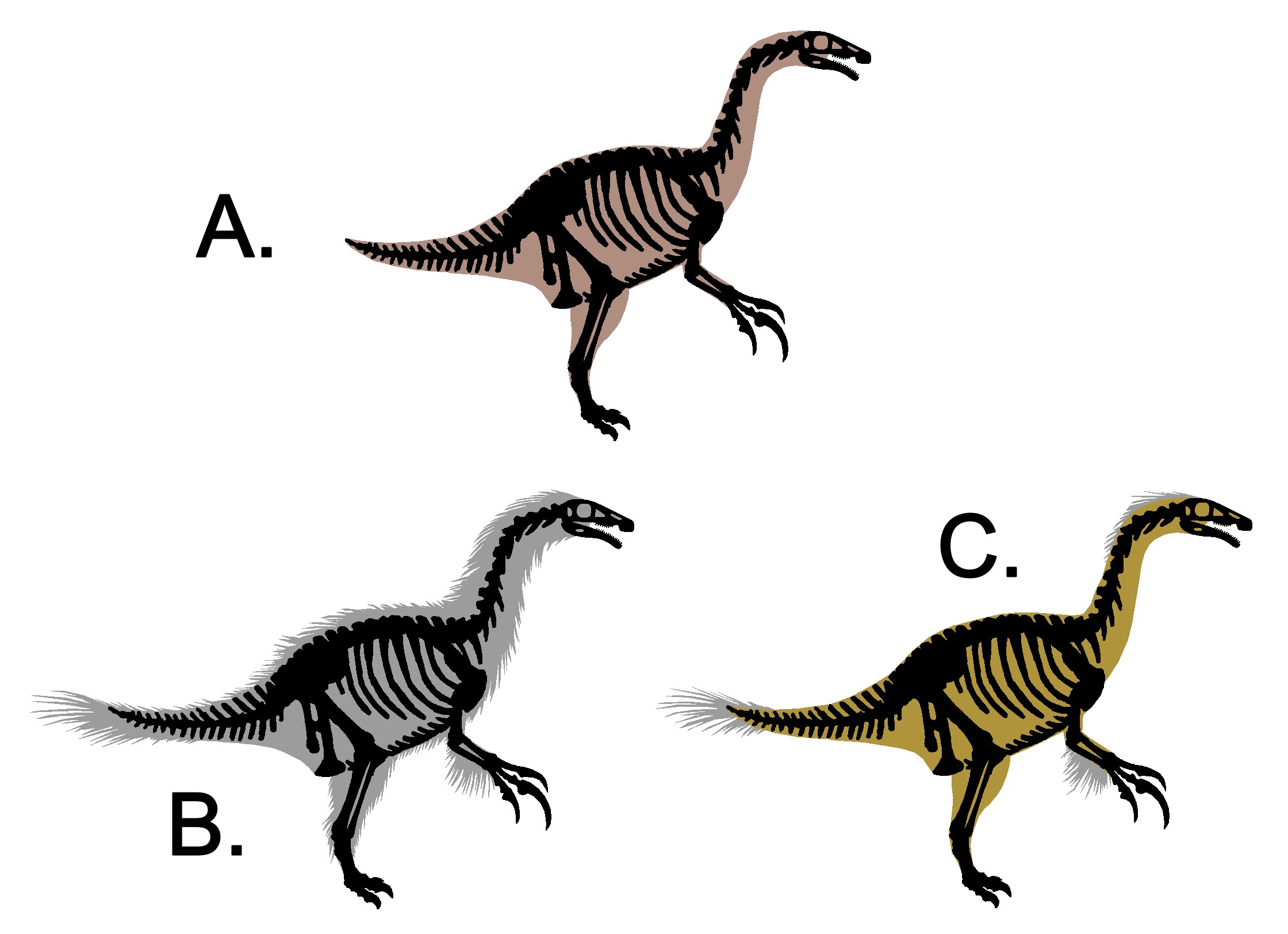 Therizinosaurus: The Gentle Giant's Feather Show (image credits: wikimedia)