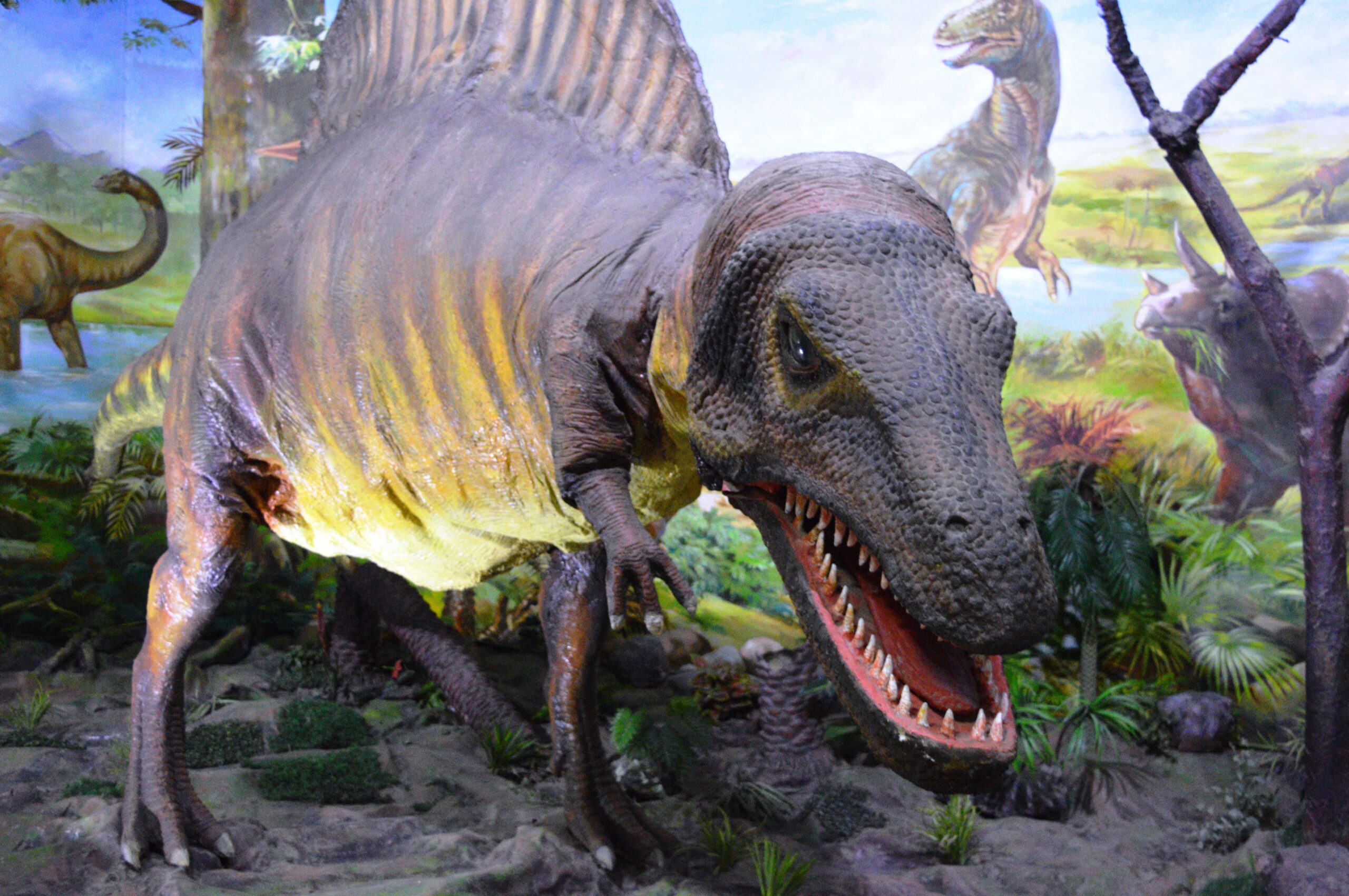 What This Means for Our Understanding of Dinosaurs (image credits: wikimedia)
