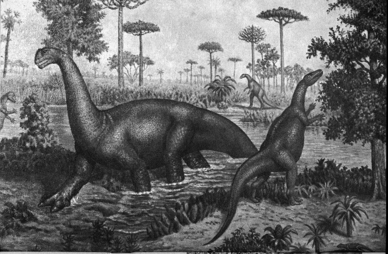Environmental Context: Life in the Early Jurassic (image credits: wikimedia)