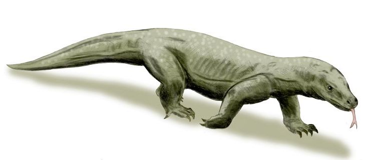 The Megalania That Dominated Australia's Prehistoric Landscape (image credits: wikimedia)