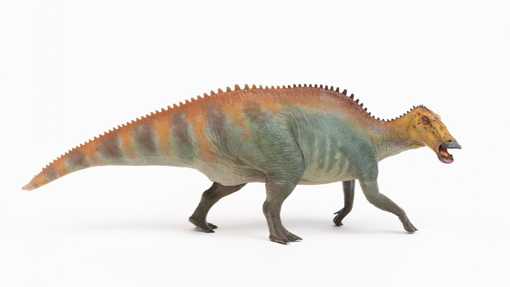 The Ultimate Athletic Evolution (image credits: flickr)