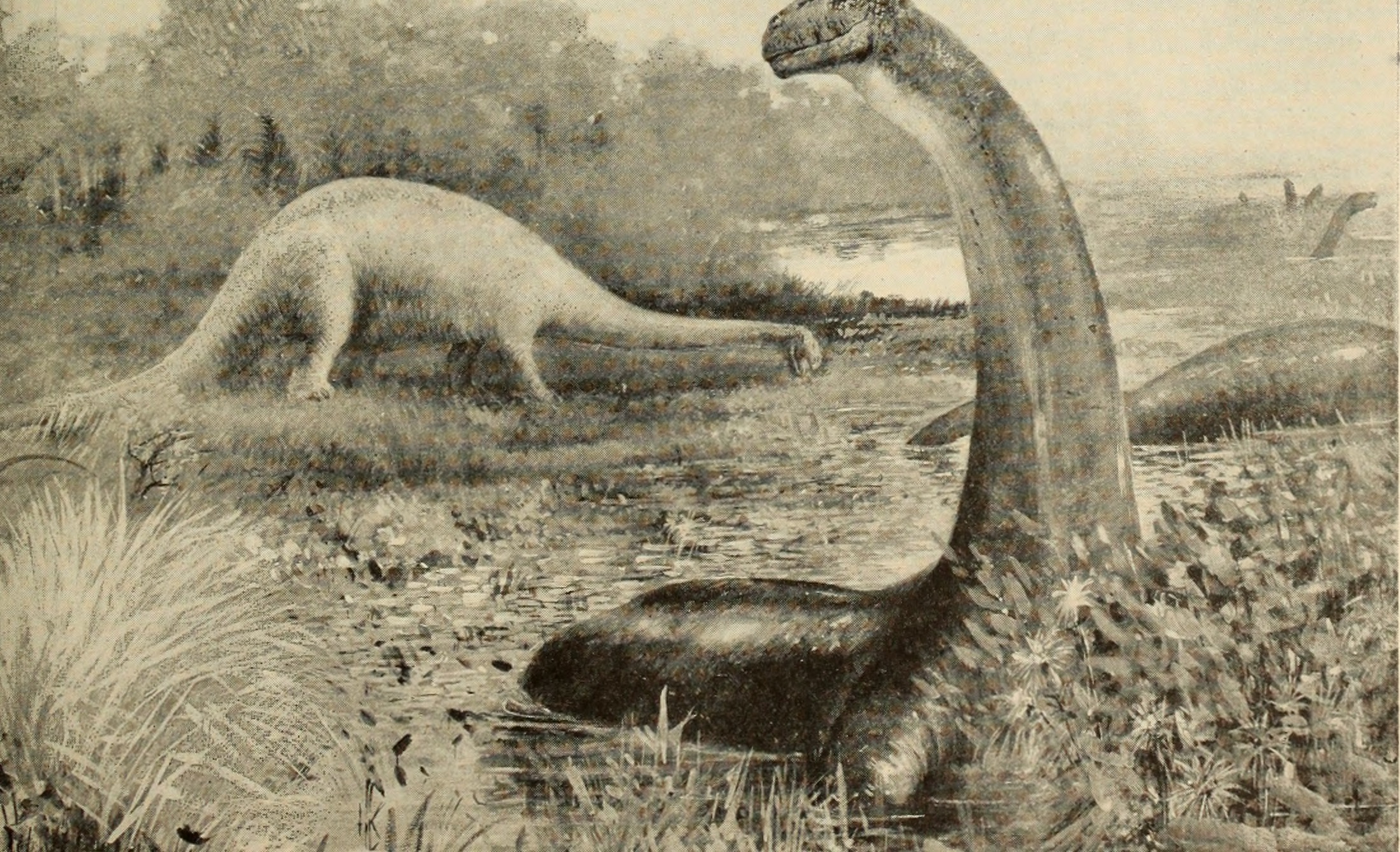 Artists and Illustrators Bring Dinosaurs to Life (image credits: By Internet Archive Book Images, No restrictions, https://commons.wikimedia.org/w/index.php?curid=43165845)