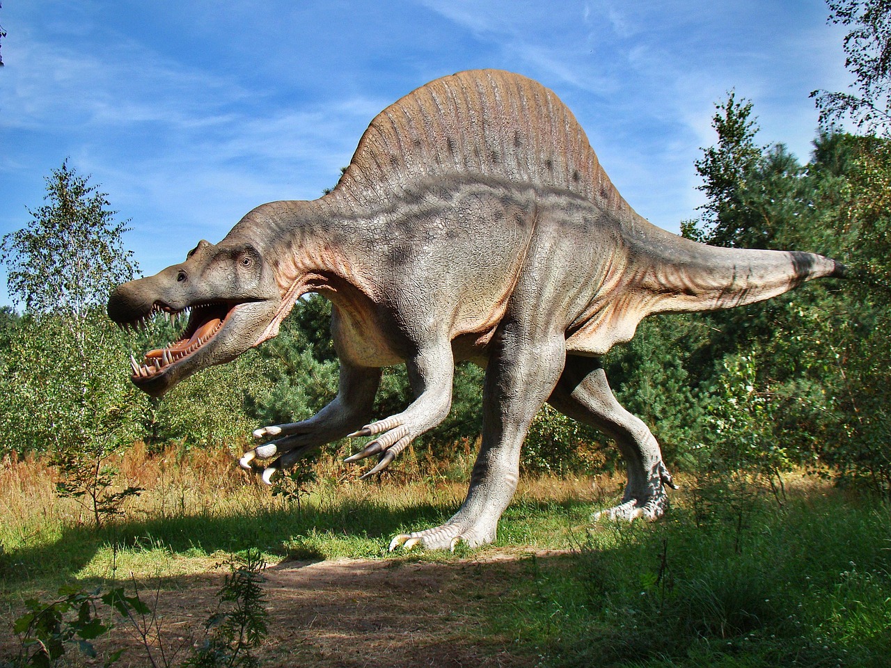 The Spinosaurus: When Crocodiles Went Supersized (image credits: pixabay)