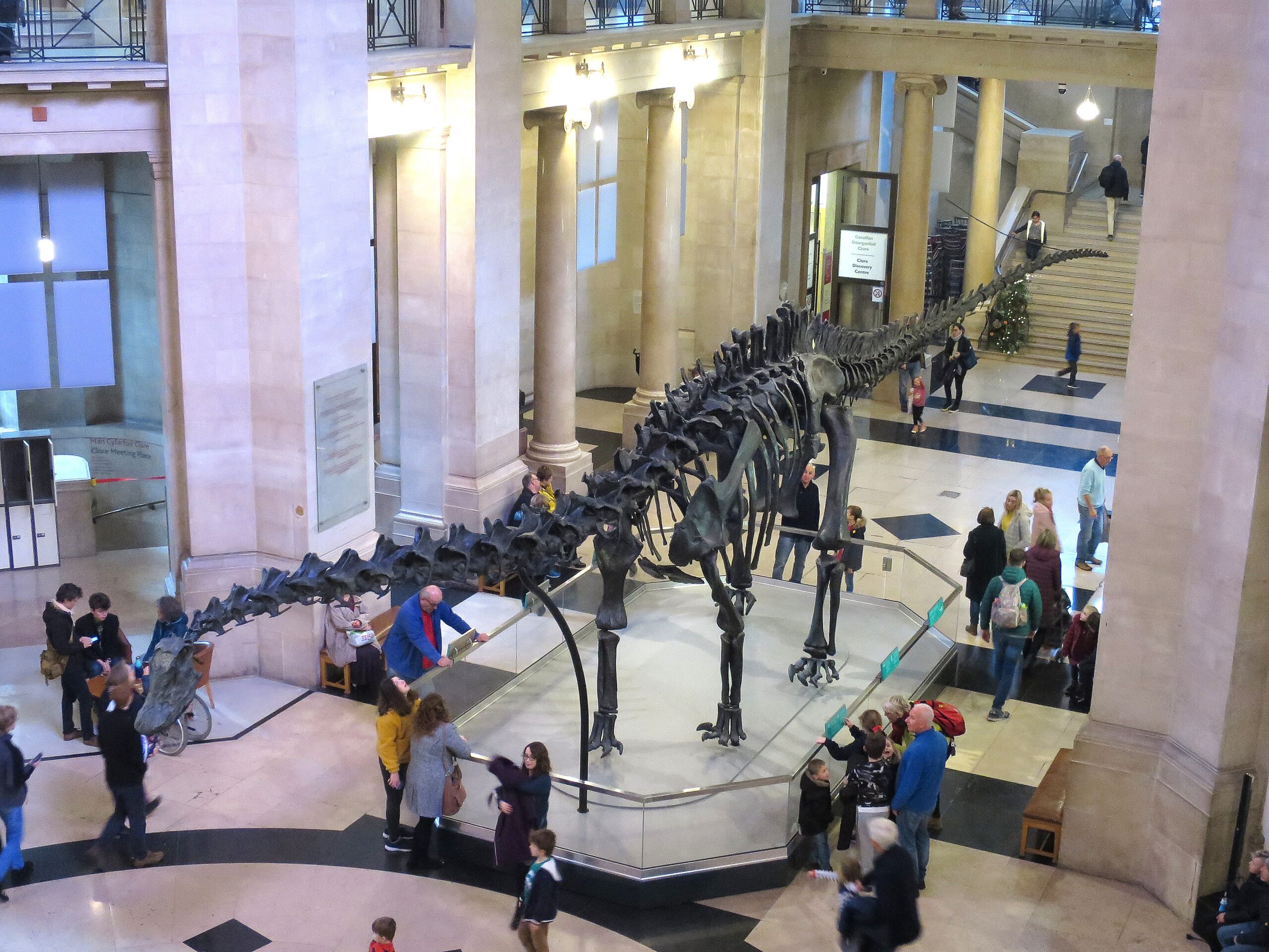 The Crown Jewel: Dippy's Legacy and Hope's Arrival (image credits: By Ben Salter, CC BY 2.0, https://commons.wikimedia.org/w/index.php?curid=93753540)
