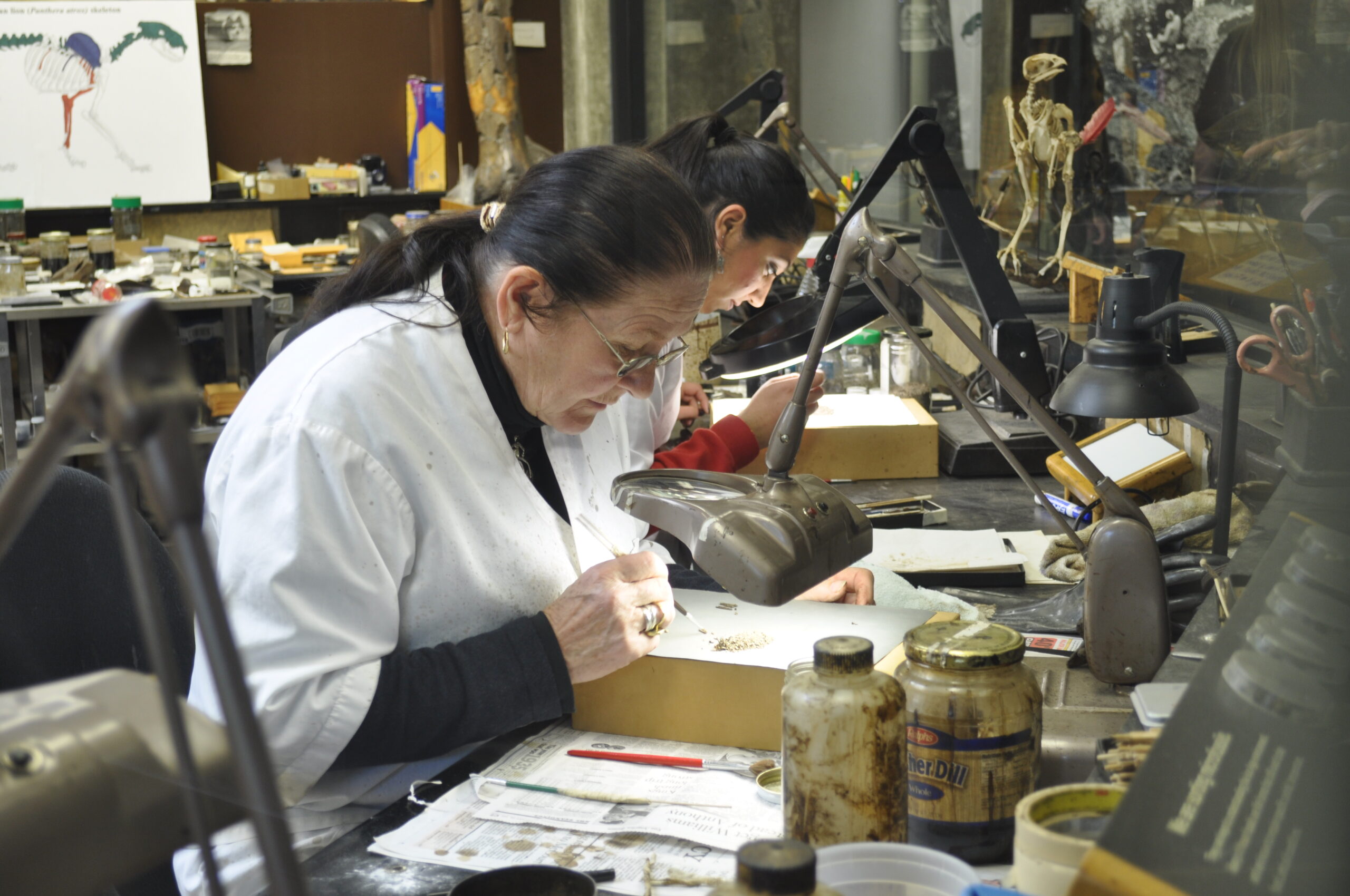 Scientific Research Hub: Where Discoveries Are Born (image credits: wikimedia)