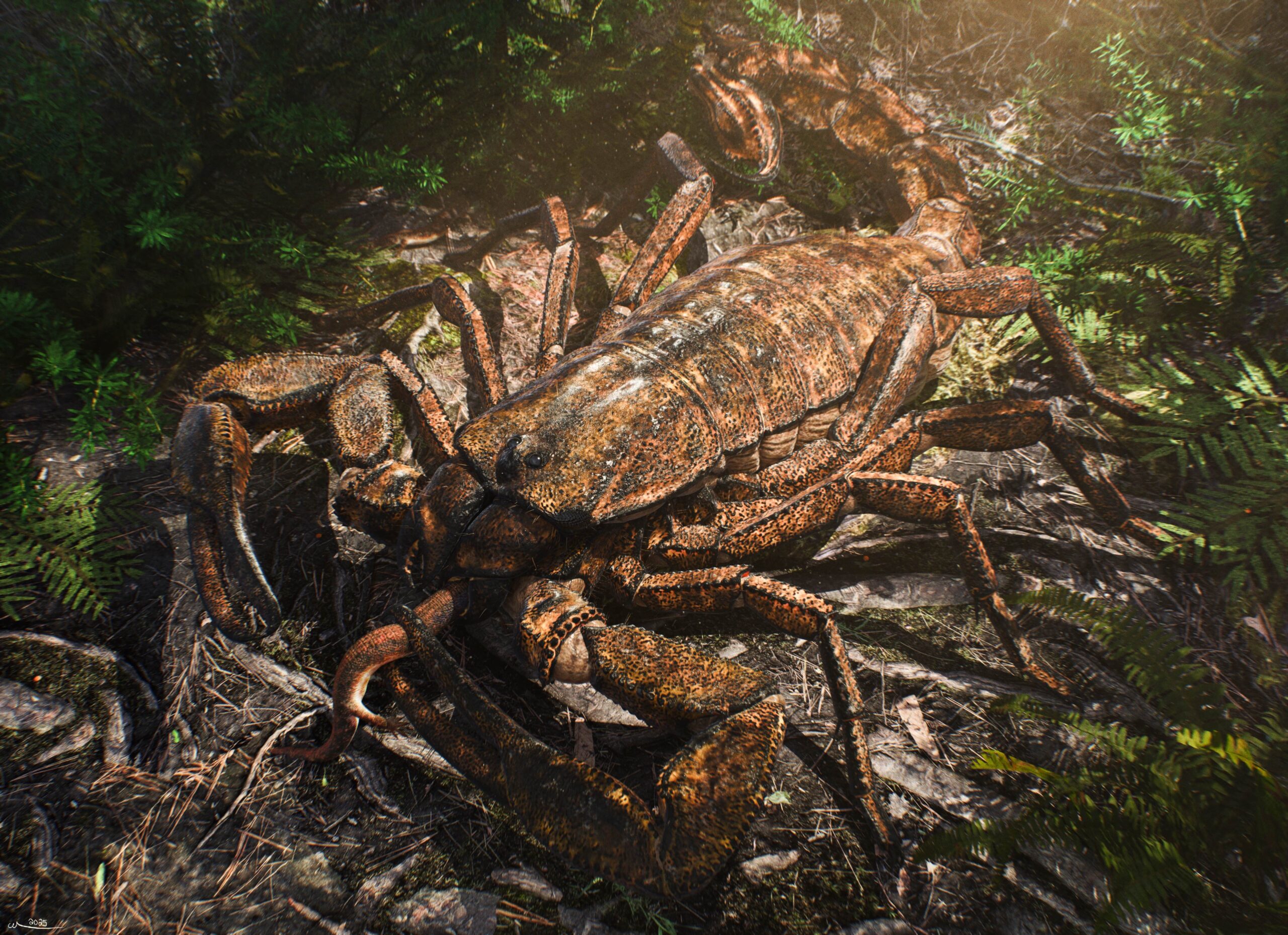 Pulmonoscorpius: The Scorpion That Could Hunt Small Sharks (image credits: By Prehistorica CM, CC BY 4.0, https://commons.wikimedia.org/w/index.php?curid=164888490)