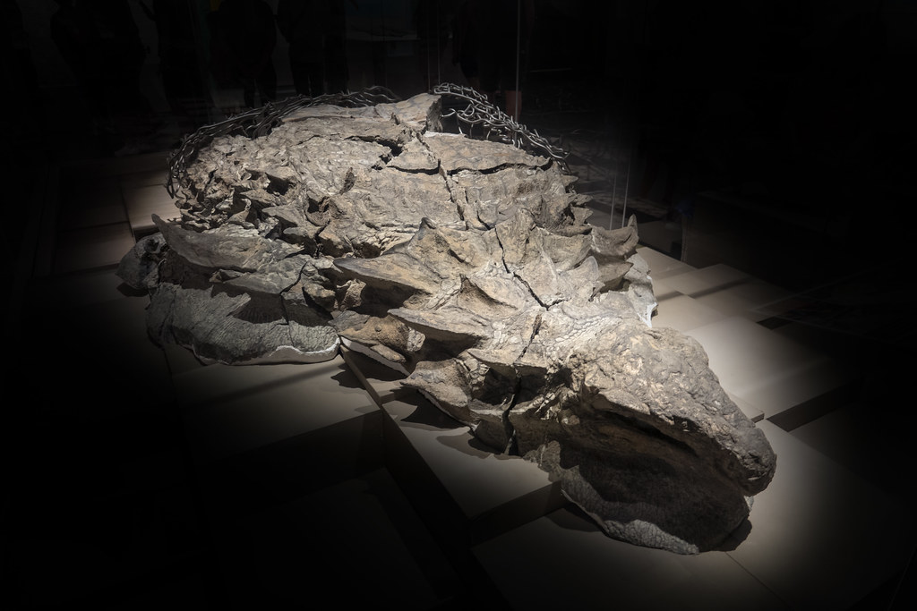 The Evolutionary Arms Race (image credits: flickr)