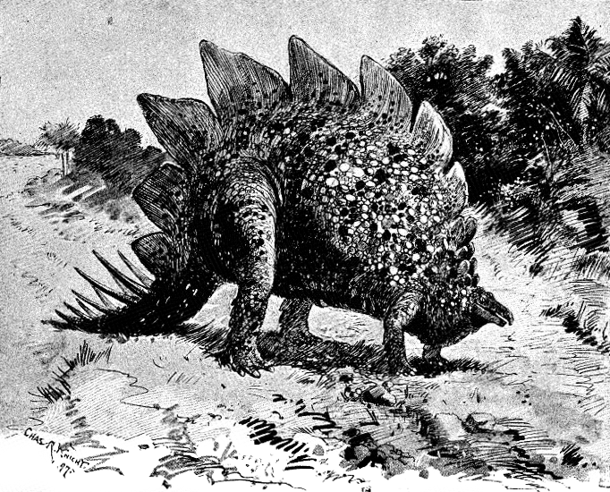What This Means for Dinosaur Intelligence (image credits: wikimedia)
