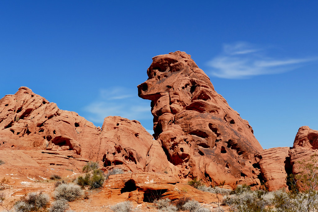 Environmental Clues and Habitat Colors (image credits: flickr)