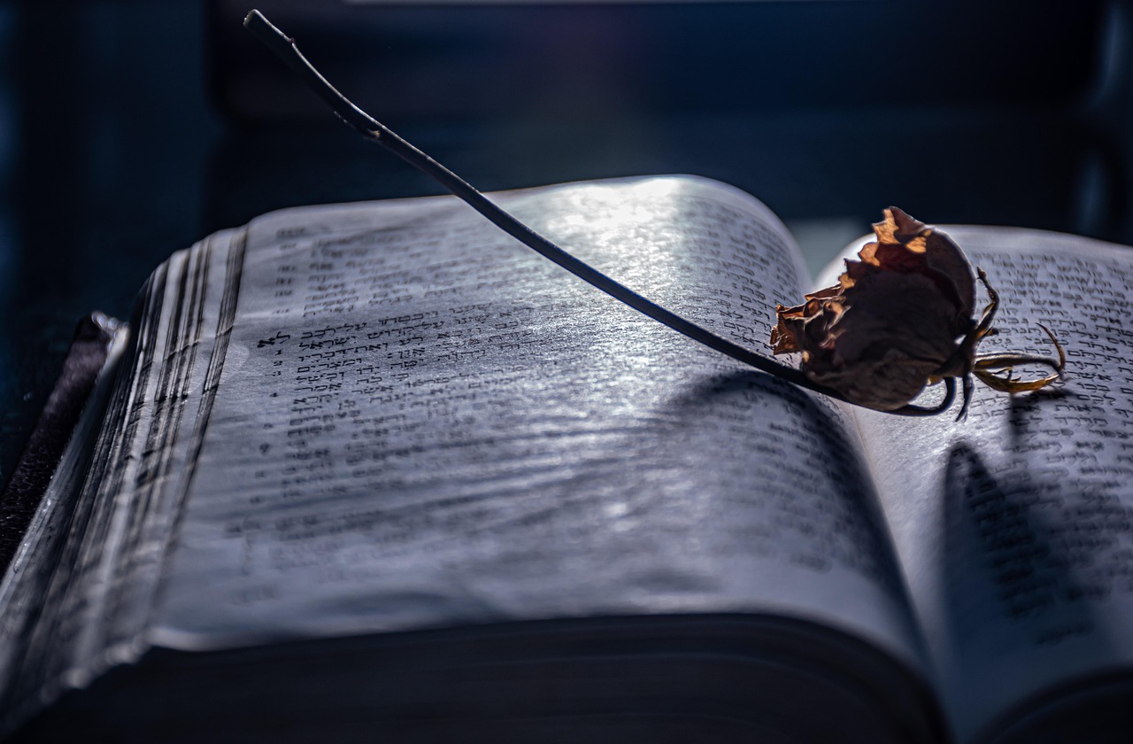 Conclusion (image credits: pixabay)