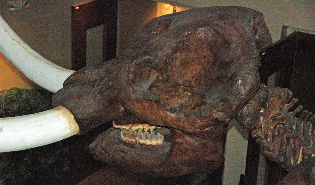 The Scientific Significance Factor (image credits: flickr)