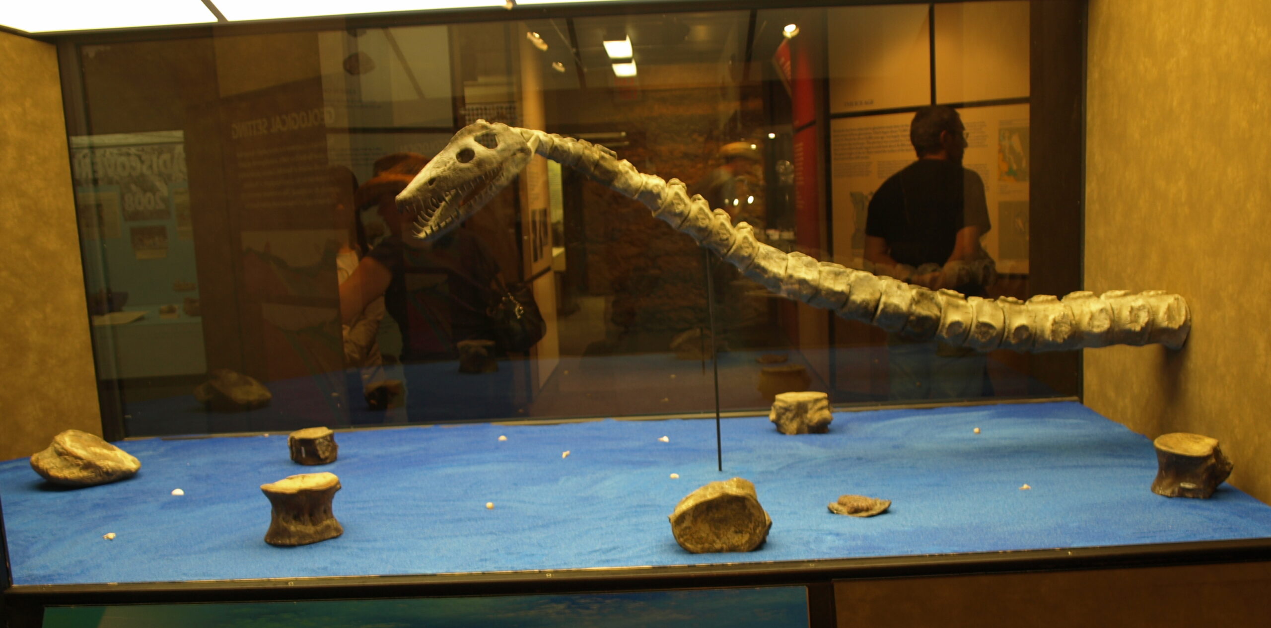 Canada's Approach: Provincial Variations (image credits: wikimedia)