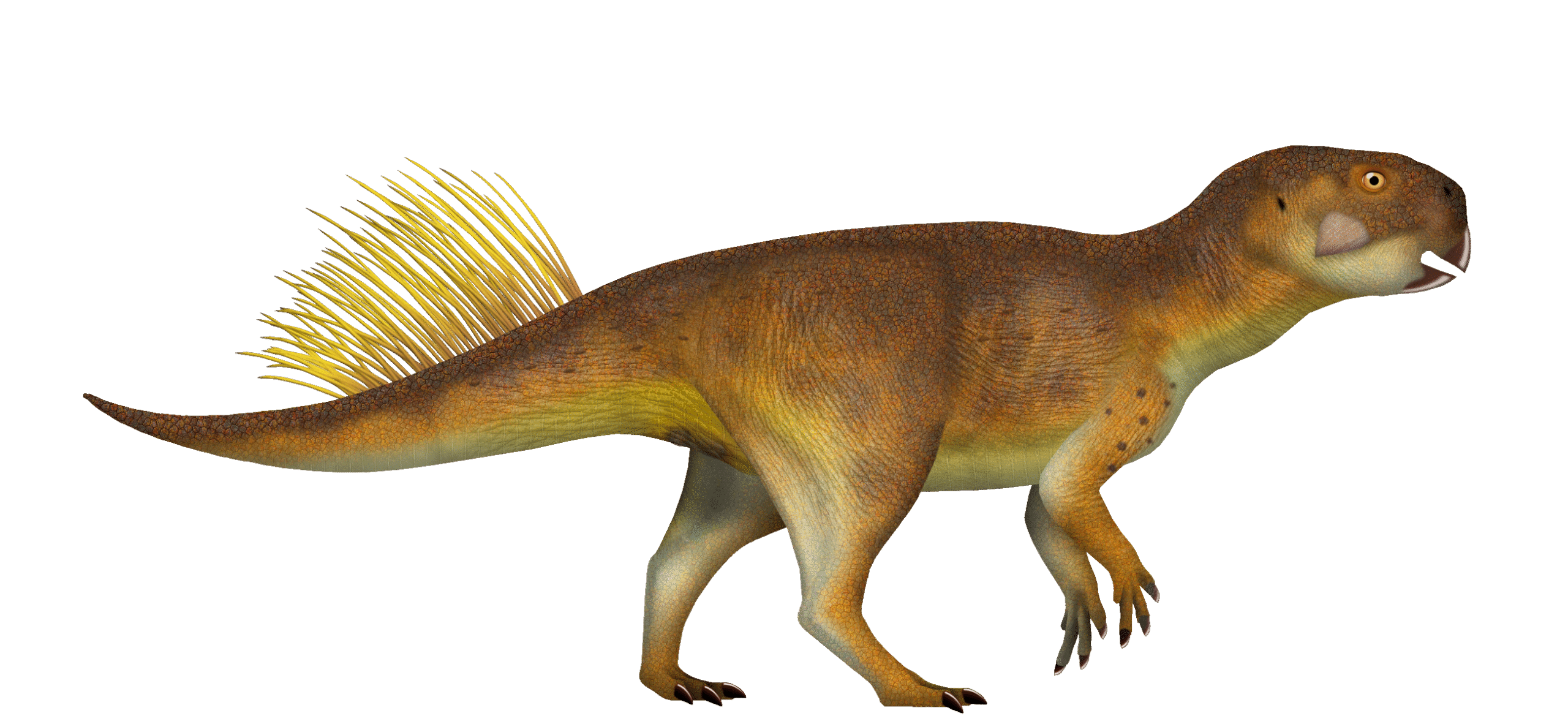 Size Matters: The Perfect Prehistoric Pet (image credits: wikimedia)